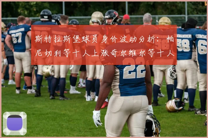 斯特拉斯堡球员身价波动分析：帕尼切利等十人上涨奇尔维尔等十人下滑