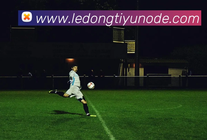 乐动体育APP 高清赛事图